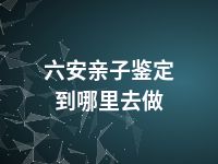 六安亲子鉴定到哪里去做