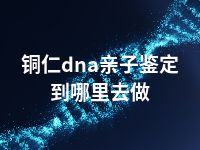 铜仁dna亲子鉴定到哪里去做