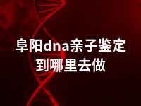 阜阳dna亲子鉴定到哪里去做