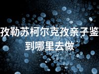 克孜勒苏柯尔克孜亲子鉴定到哪里去做