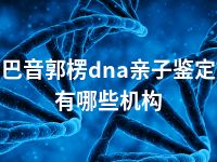 巴音郭楞dna亲子鉴定有哪些机构