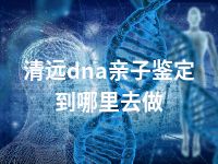 清远dna亲子鉴定到哪里去做