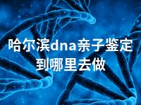 哈尔滨dna亲子鉴定到哪里去做