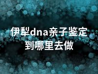 伊犁dna亲子鉴定到哪里去做