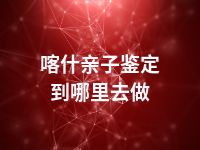 喀什亲子鉴定到哪里去做