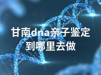 甘南dna亲子鉴定到哪里去做