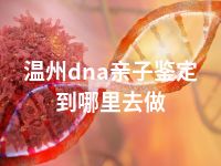 温州dna亲子鉴定到哪里去做