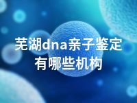 芜湖dna亲子鉴定有哪些机构