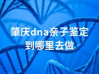 肇庆dna亲子鉴定到哪里去做