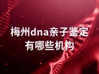 梅州dna亲子鉴定有哪些机构