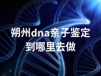 朔州dna亲子鉴定到哪里去做