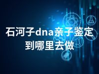 石河子dna亲子鉴定到哪里去做