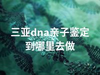 三亚dna亲子鉴定到哪里去做