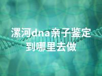 漯河dna亲子鉴定到哪里去做