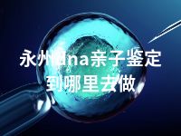 永州dna亲子鉴定到哪里去做