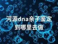 河源dna亲子鉴定到哪里去做