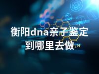 衡阳dna亲子鉴定到哪里去做