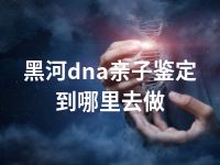 黑河dna亲子鉴定到哪里去做