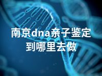 南京dna亲子鉴定到哪里去做