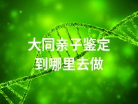 大同亲子鉴定到哪里去做