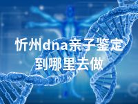 忻州dna亲子鉴定到哪里去做