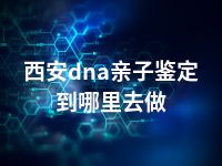 西安dna亲子鉴定到哪里去做