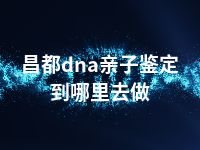 昌都dna亲子鉴定到哪里去做