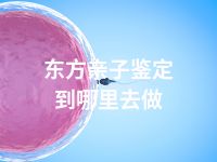 东方亲子鉴定到哪里去做