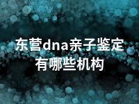 东营dna亲子鉴定有哪些机构