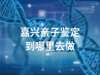 嘉兴亲子鉴定到哪里去做