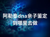 阿勒泰dna亲子鉴定到哪里去做