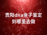 贵阳dna亲子鉴定到哪里去做