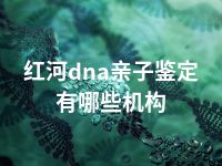 红河dna亲子鉴定有哪些机构