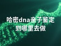 哈密dna亲子鉴定到哪里去做