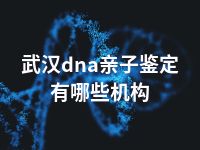 武汉dna亲子鉴定有哪些机构