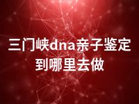 三门峡dna亲子鉴定到哪里去做