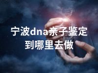 宁波dna亲子鉴定到哪里去做