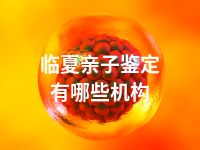 临夏亲子鉴定有哪些机构