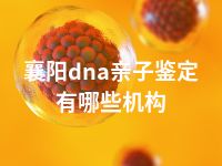 襄阳dna亲子鉴定有哪些机构