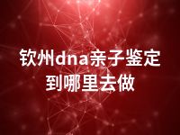 钦州dna亲子鉴定到哪里去做