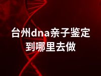 台州dna亲子鉴定到哪里去做