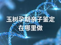 玉树孕期亲子鉴定在哪里做