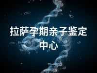 拉萨孕期亲子鉴定中心