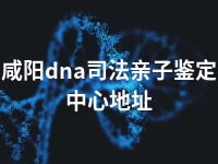 咸阳dna司法亲子鉴定中心地址