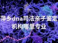 萍乡dna司法亲子鉴定机构哪里专业