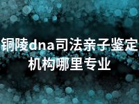 铜陵dna司法亲子鉴定机构哪里专业