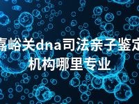 嘉峪关dna司法亲子鉴定机构哪里专业