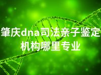 肇庆dna司法亲子鉴定机构哪里专业