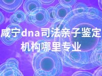 咸宁dna司法亲子鉴定机构哪里专业