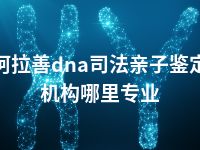 阿拉善dna司法亲子鉴定机构哪里专业